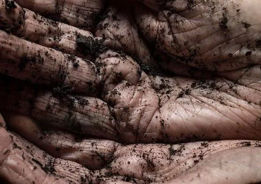 soil composition Image